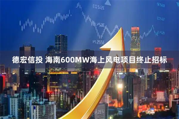 德宏信投 海南600MW海上风电项目终止招标